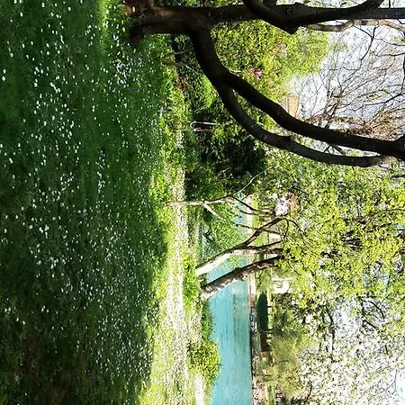 Penati * Bihać
