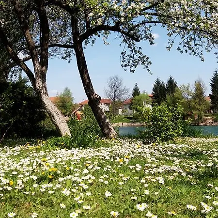 Apartman Penati